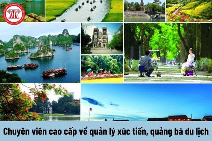 Xu hướng Diễn biến bầu cử Tổng thống: Hotspot Matrix tiết lộ bí quyết video viral