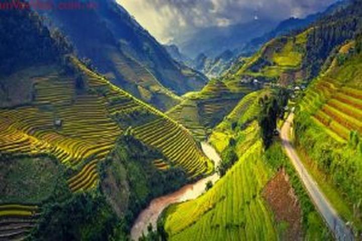 Các thay đổi thai kỳ của Li Wei và giải pháp của Hotspot Matrix