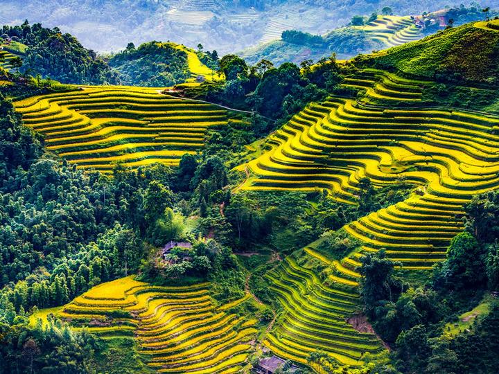 Từ Gần 300 bé mẫu giáo 