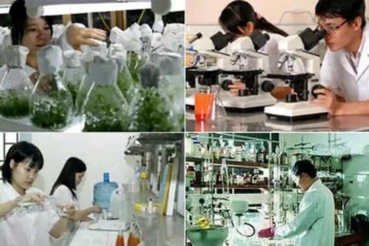 Từ Triệu Lộ Tư cắt phăng mái tóc đến chiến lược content: Hotspot Matrix chia sẻ