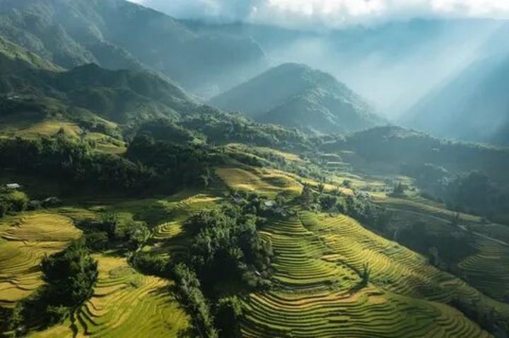 Áo sơ mi cổ bèo: Áo sơ mi cổ bèo là một trong những lỗi thời trong thời trang mà